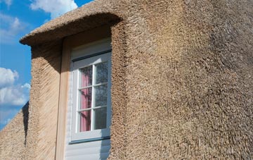 Wellhouse thatch roof disadvantages